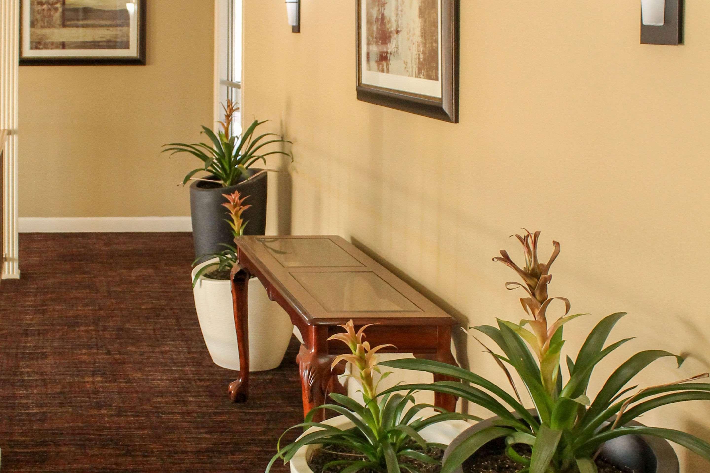 Quality Inn Arkadelphia - University Area Экстерьер фото